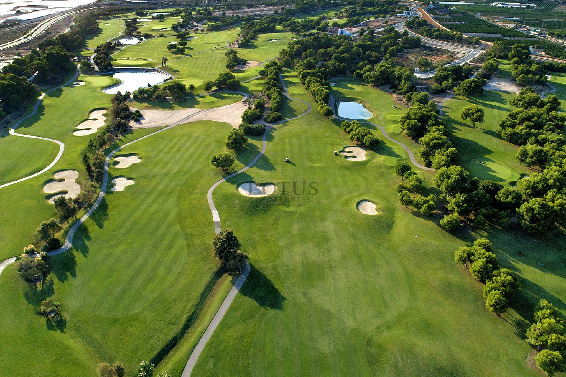 Dakhorloges voor golfliefhebbers, Lo Romero Golf - Lotus Properties