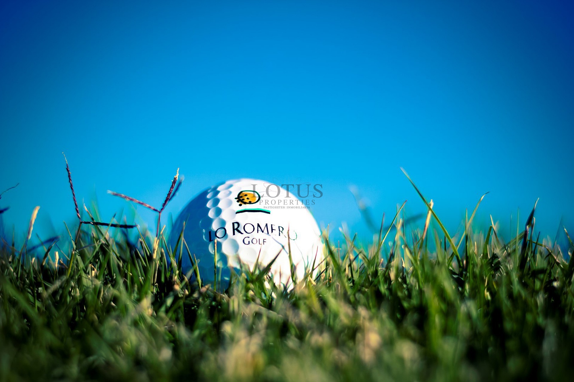 Dakhorloges voor golfliefhebbers, Lo Romero Golf - Lotus Properties