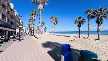 Stijlvol gerenoveerde woning op slechts 140 meter van het strand van La Mata - Lotus Properties