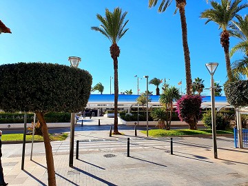 Appartement op Slechts 60 Meter van Playa de los Locos – Torrevieja - Lotus Properties