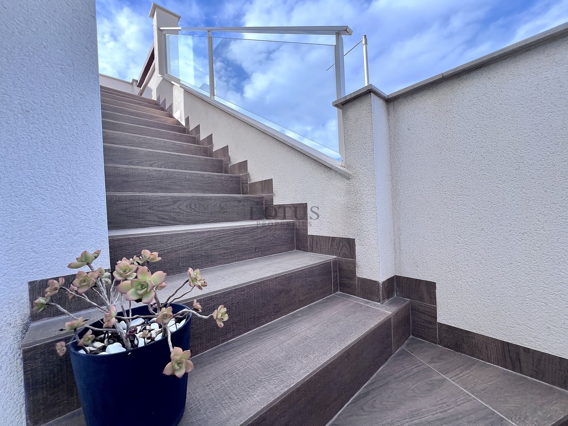 Exclusieve bungalow met 3 slaapkamers op het dak in Los Balcones - Lotus Properties