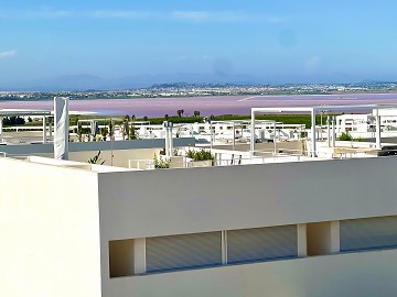 Exclusieve bungalow met 3 slaapkamers op het dak in Los Balcones - Lotus Properties